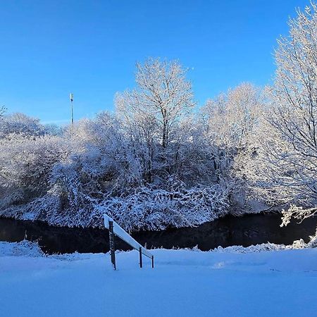 Bente'S Guesthouse Holstebro Dış mekan fotoğraf